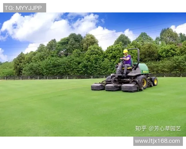 姚明携手环保事业传递绿色理念助力可持续发展之路 姚明携手环保事业传递绿色理念助力可持续发展之路