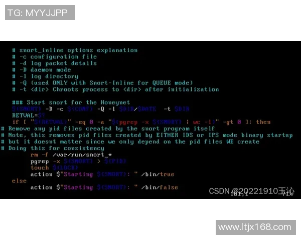 重磅专题：探讨FPX在盯防战术上的创新与实践解析